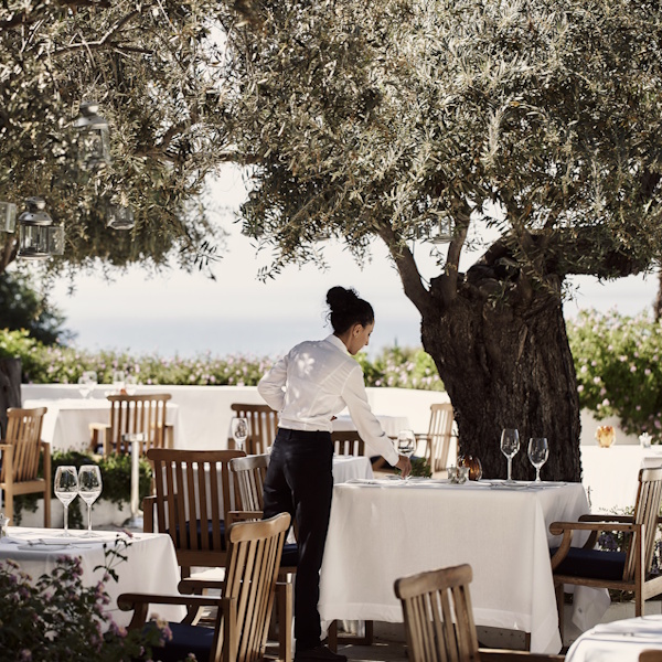 Internship Opportunities at Thanos Hotels & Resorts